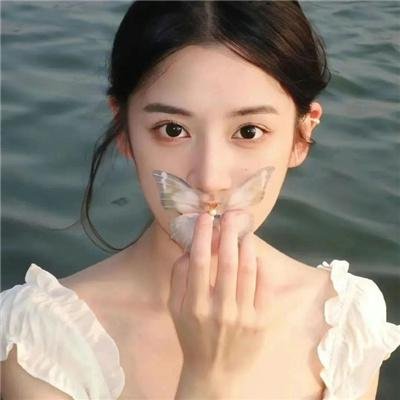 秋田犬蓬夫